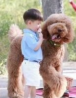 女性子宫肌瘤在海军特色医学中心做三代试管预算八万块够不够？