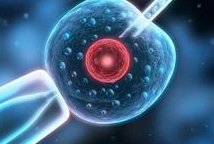 费用与成功率分析：广州试管婴儿值不值得选择？