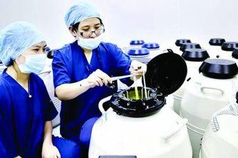 二代试管预三代试管三大区别分析，哪个较好看了就知