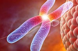 做试管婴儿是不是很遭罪？