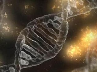 输卵管积水能不能做泰国试管婴儿，成功率有多大？